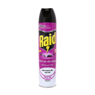 Raid Multi Insect Killer Odorless 600ml