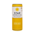 Star Kombucha Golden Ginger 250ml x 12 Bottles