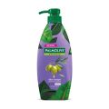 Palmolive Silk (purple)  600ml x 6 Bottles
