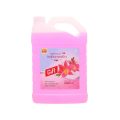 Gift Floor Cleaner Lily 3.8Kg x 3 Bottles