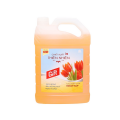 Gift Floor Cleaner Tulip 3.8Kg x 3 Bottles