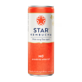 Star Kombucha Apricot 250ml x 12 Bottles