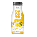 Vinut Coconut Milk Mango 280ml x 24 Bottles