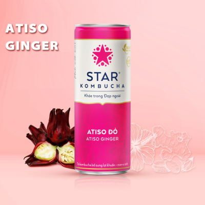 Star Kombucha Atiso Ginger 250ml x 12 Bottles