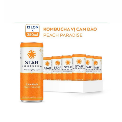 Star Kombucha Peach Oranges  250ml x 12 Bottles