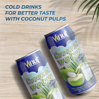 Vinut Organic Coconut Water 290ml