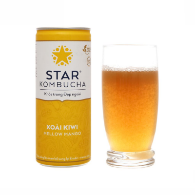 Star Kombucha Mellow Mango 250ml x 12 Bottles