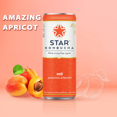 Star Kombucha Apricot 250ml x 12 Bottles