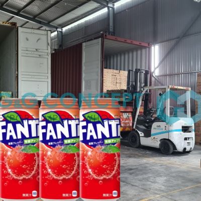 Wholesale Coca Cola FANTA Rich Apple 500ml x 24 cans