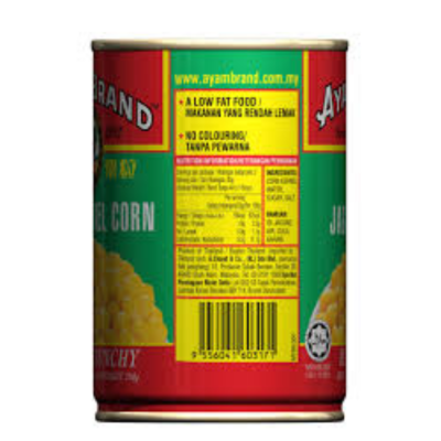 Ayam Popcorn 425g x 24 Cans