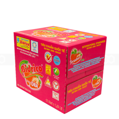 Bidrico Soft Drink Strawberry 1.25L x 12 Bottles