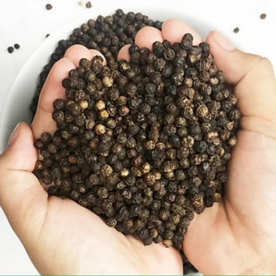 Wholesale Phu Quoc DH Foods Whole Black Peppercorn 100g x 24 bottles