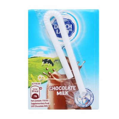 Dutch Lady UHT Chocolate Milk 110ml x 48