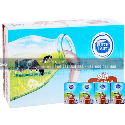 Dutch Lady UHT Chocolate Milk 110ml x 48