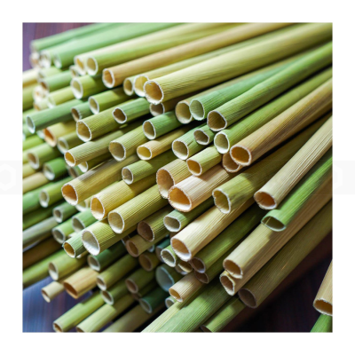 Grass Straws 100% Organic – 50 pcs/box x 100 boxes