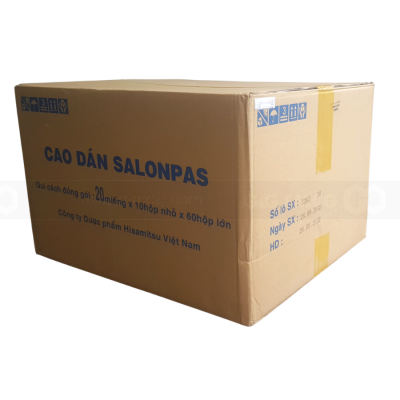 Salonpas Pain Relief Patch 20 Patches x 10 Boxes x 60 Displays