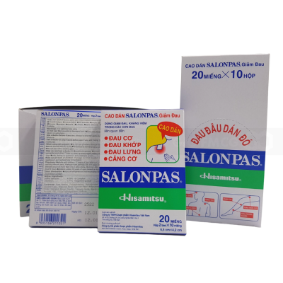 Salonpas Pain Relief Patch 20 Patches x 10 Boxes x 60 Displays