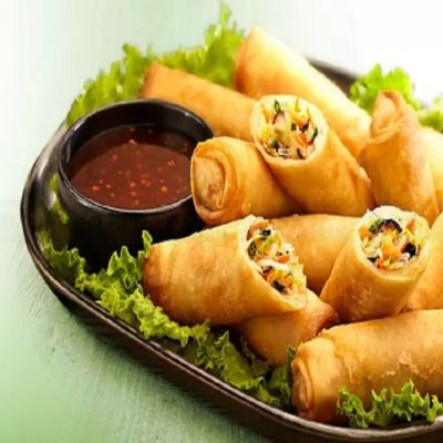 Vissan Special Vegetarian Spring Rolls 500g x 24 Bags