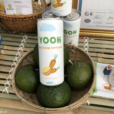 Wholesale YOOH Orange With Carrot Juice 240ml x 24 can