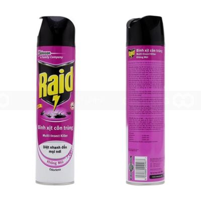 Raid Multi Insect Killer Odorless 600ml