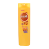 Wholesale Sunsilk Nourishing Soft & Smooth 320g x 24 Bottles