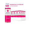 Star Kombucha Atiso Ginger 250ml x 12 Bottles
