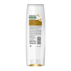 Wholesale Pantene Conditioner Silky Smooth Care 300ml x 12 Bottles