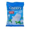 Bibica Cheery Mint Chewy 90g x 70 Bags