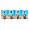 Dutch Lady UHT Chocolate Milk 110ml x 48