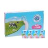 Dutch Lady UHT Strawberry Milk 110ml x 48