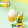 Wholesale Mentos Sparkling Water Lemon 355ml x 24pcs