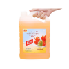Gift Floor Cleaner Tulip 3.8Kg x 3 Bottles