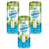 Juice - Rita NPV Coco Water With Pulp 330ml