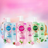 Wholesale SunSilk Conditioner 