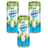 Juice - Rita NPV Coco Water With Pulp 330ml x 24 Cans