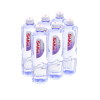 Saka Alkaline Ionized Water 555ml x 24 Bottles