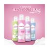 Lactacyd Intimate Feminine Hygiene Soft and Silky Moisturizing 250mlx 24 Bottles


