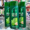 Wholesale Thorakao Goose grass - Lemongrass Shampoo 400ml x 12 Bottles