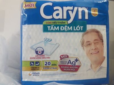 Caryn Adult Super Absorb Pads 20pcs