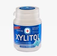 Lotte Xylitol Fresh Mint Chewing Gum 58g Jar